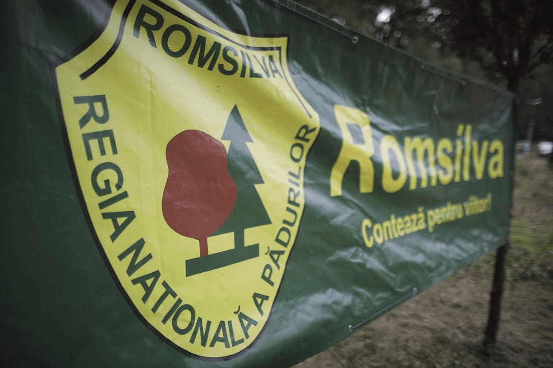 Romsilva reorganizare: Planul lui Mircea Fechet