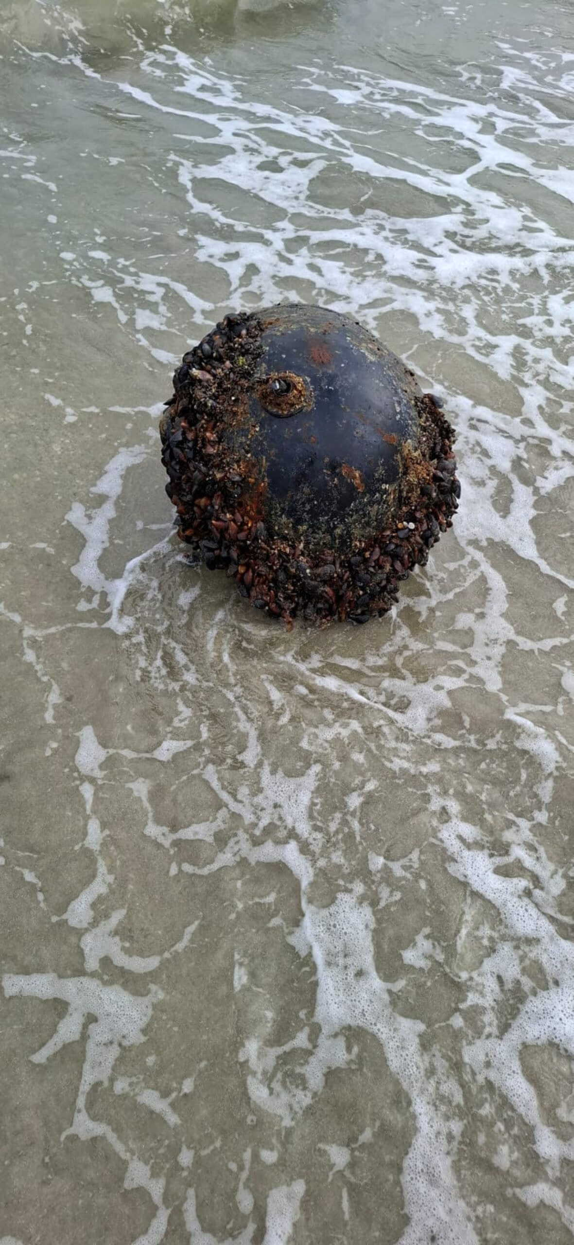 Mina marină descoperită la Vadu a fost neutralizată Mina marină descoperită la Vadu a fost neutralizată