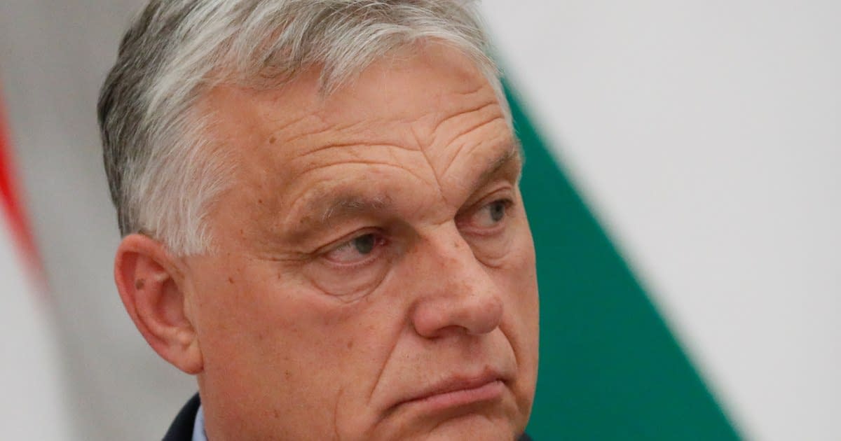Partidul lui Viktor Orban vrea expulzarea persoanelor cu dublă cetățenie și interzicerea marșurilor LGBTQ+ în Ungaria