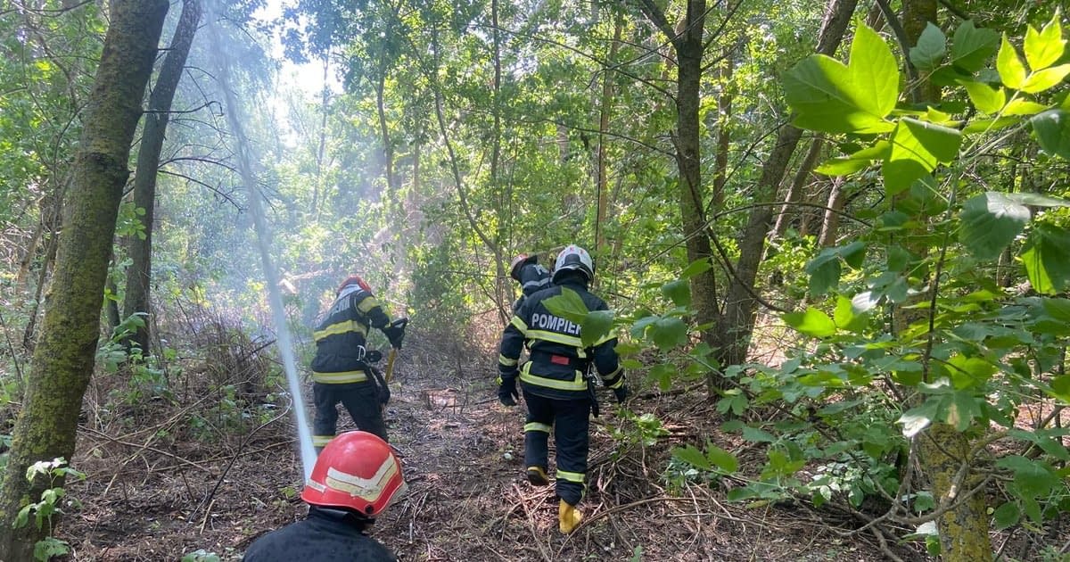 Pompierii luptă cu 16 incendii majore în șase județe: peste 1.000 de hectare afectate Pompierii luptă cu 16 incendii majore în șase județe: peste 1.000 de hectare afectate