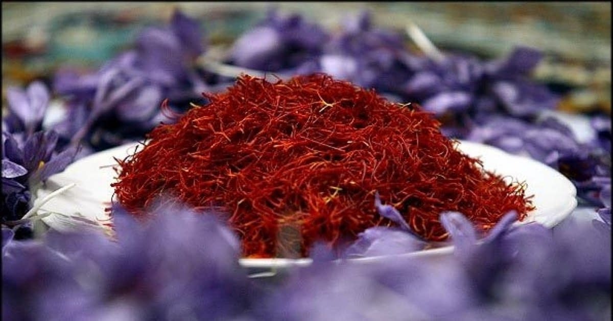 O familie din Vrancea a dat lovitura cu planta care produce „aurul roșu”. Cu cât se vinde un kilogram O familie din Vrancea a dat lovitura cu planta care produce „aurul roșu”. Cu cât se vinde un kilogram