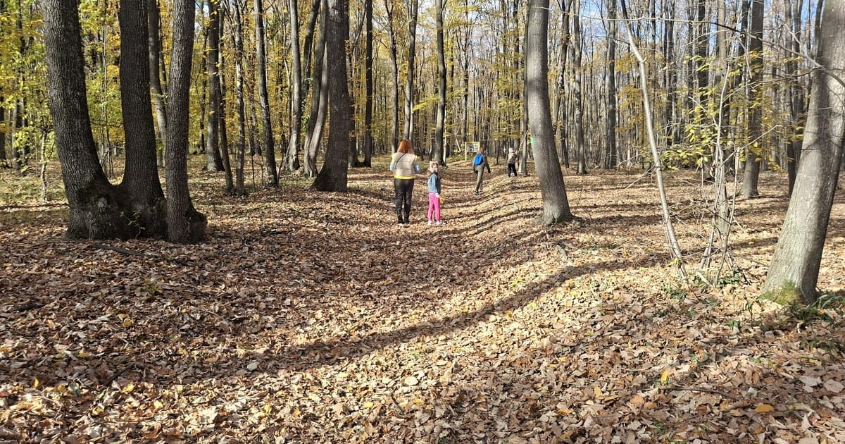 Aromaterapie naturală în inima pădurii. Locul din România unde natura devine lecție și leac
