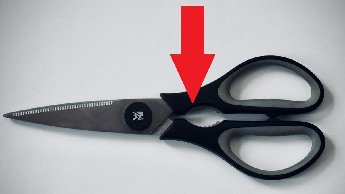 La ce folosesc zimții metalici dintre mânerele foarfecii de bucătărie? Oamenii sunt complet uimiți La ce folosesc zimții metalici dintre mânerele foarfecii de bucătărie? Oamenii sunt complet uimiți