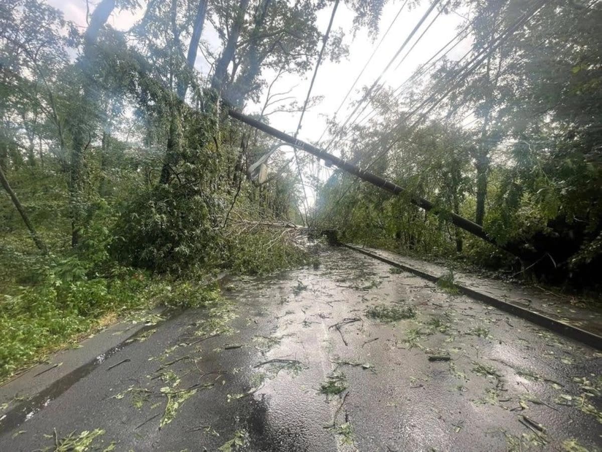 VIDEO FOTO Vremea extremă a făcut prăpăd în mai multe zone din țară, inclusiv în Capitală: ninsori, copaci doborâți de vânt, drumuri blocate și mașini avariate VIDEO FOTO Vremea extremă a făcut prăpăd în mai multe zone din țară, inclusiv în Capitală: ninsori, copaci doborâți de vânt, drumuri blocate și mașini avariate