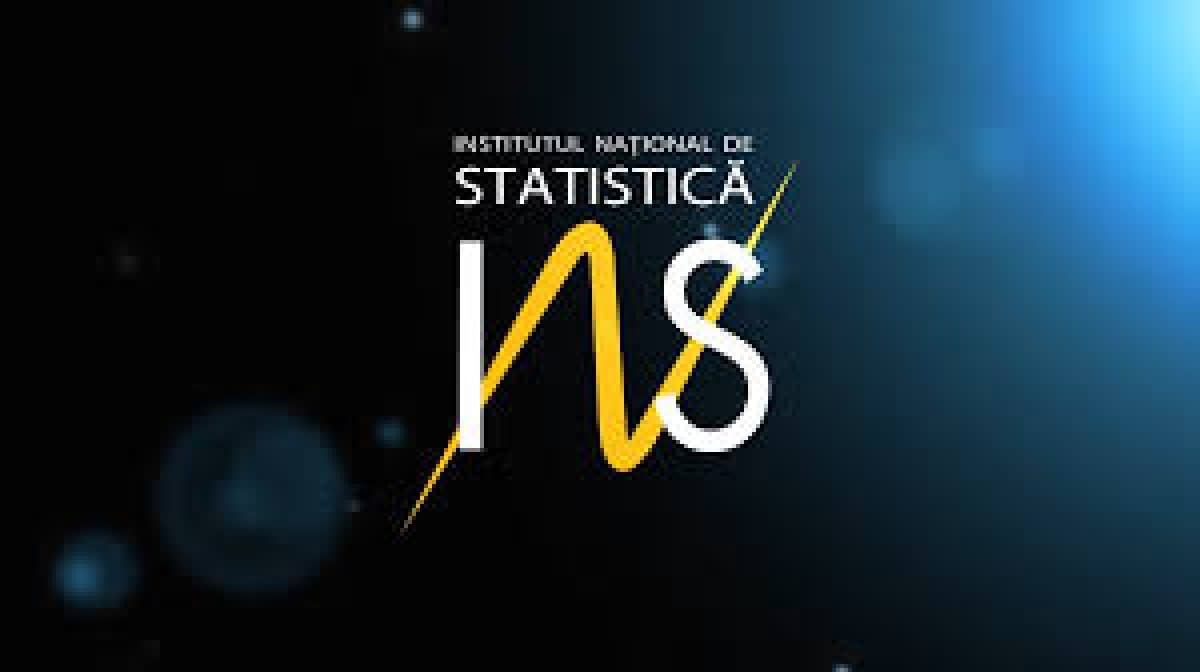 institutul national de statistica ins