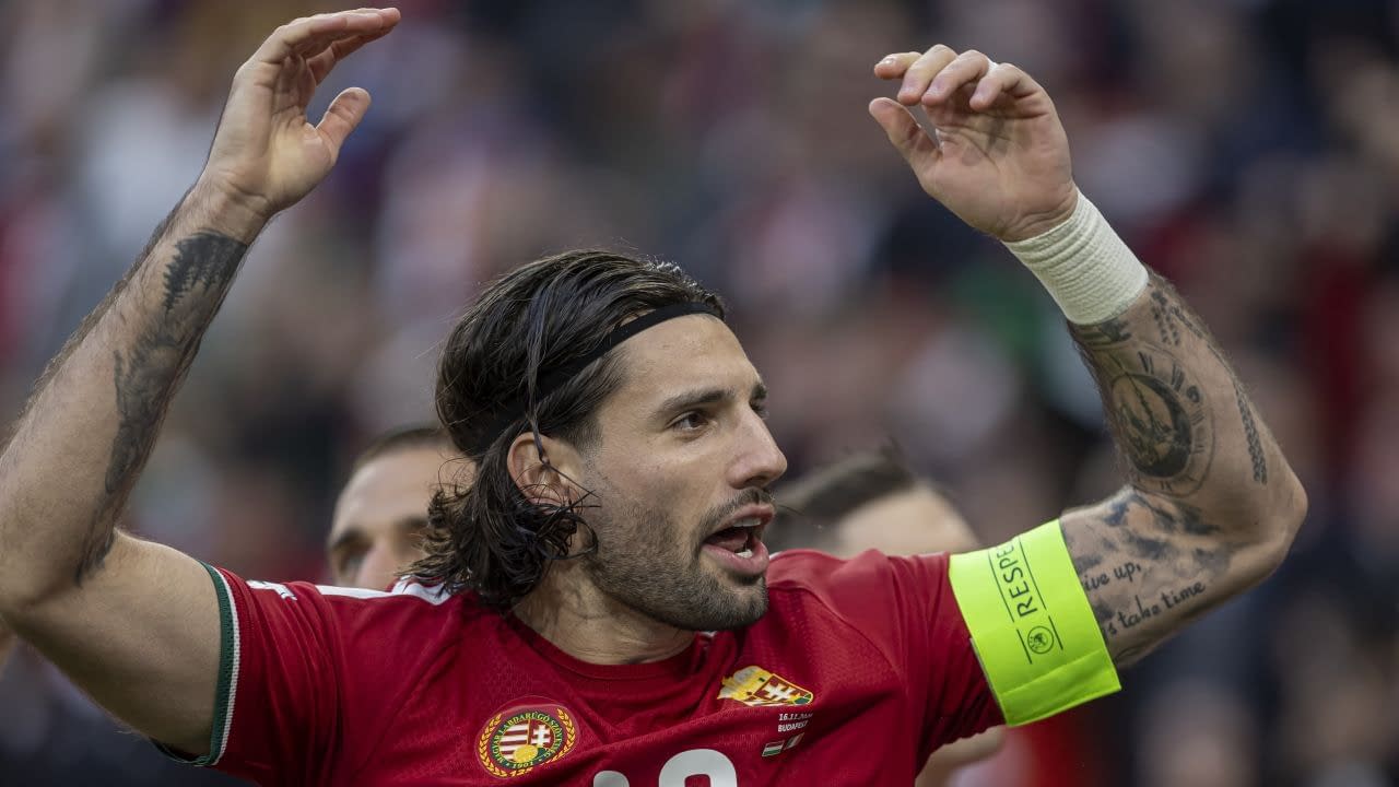 Demențial: reacția comentatorului la golul care a îngenuncheat Ungaria Demențial: reacția comentatorului la golul care a îngenuncheat Ungaria