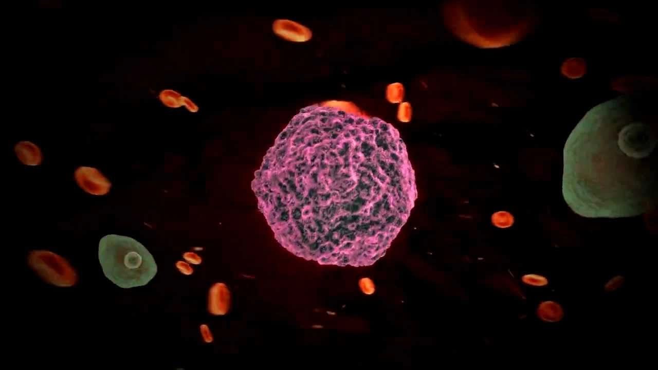 Revine febra tifoidă? O tulpină rezistentă a ceea ce se credea a fi ‘boala vremurilor de demult’ se răspândește din nou pe glob. Cercetătorii au lansat deja avertismente Revine febra tifoidă? O tulpină rezistentă a ceea ce se credea a fi ‘boala vremurilor de demult’ se răspândește din nou pe glob. Cercetătorii au lansat deja avertismente