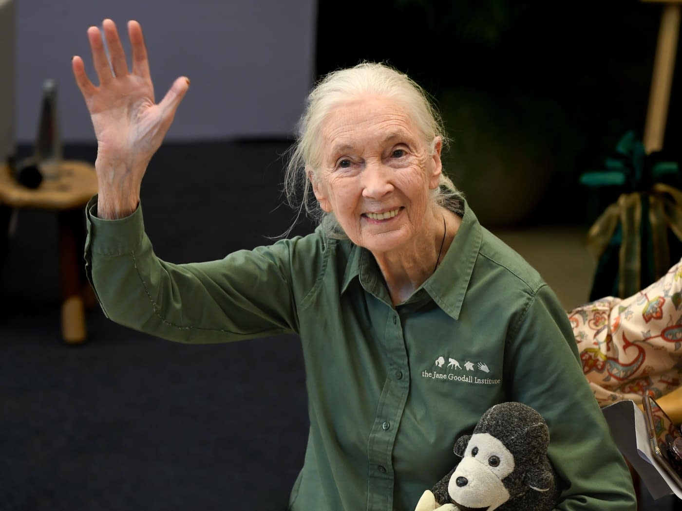 A murit celebra cercetătoare Jane Goodall, pionieră în studiul aprofundat al cimpanzeilor şi apărătoare a vieţii sălbatice A murit celebra cercetătoare Jane Goodall, pionieră în studiul aprofundat al cimpanzeilor şi apărătoare a vieţii sălbatice