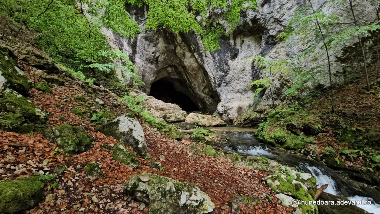 Peștera Cioclovina. Foto Daniel Guță