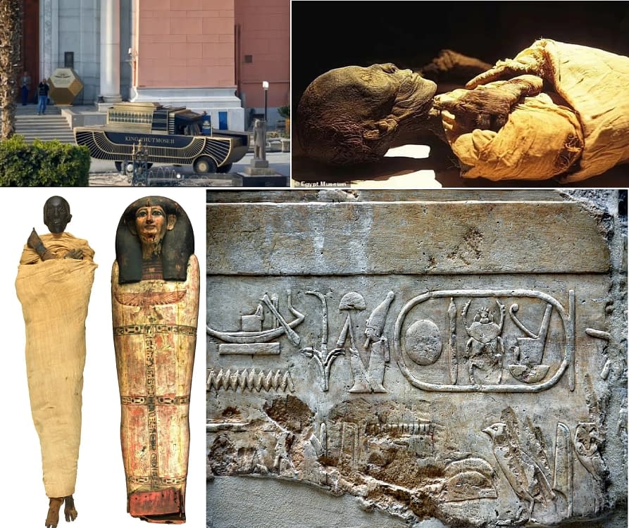 Mutarea faraonul Tutmes / Thutmose al II-lea din vechiul muzeu în noul Muzeu de Egiptologie