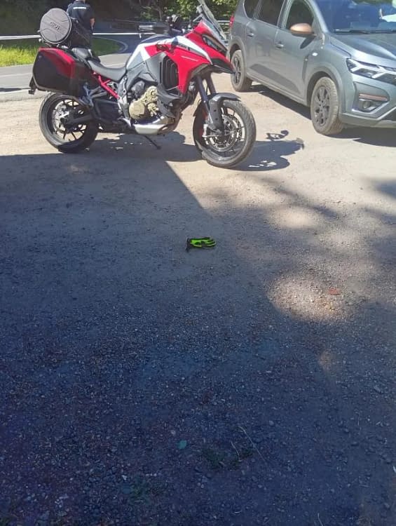 un motociclist din italia a fost ucis de un urs pe transfagarasan animalul ucigas a tras victima in padure 986183 jpg