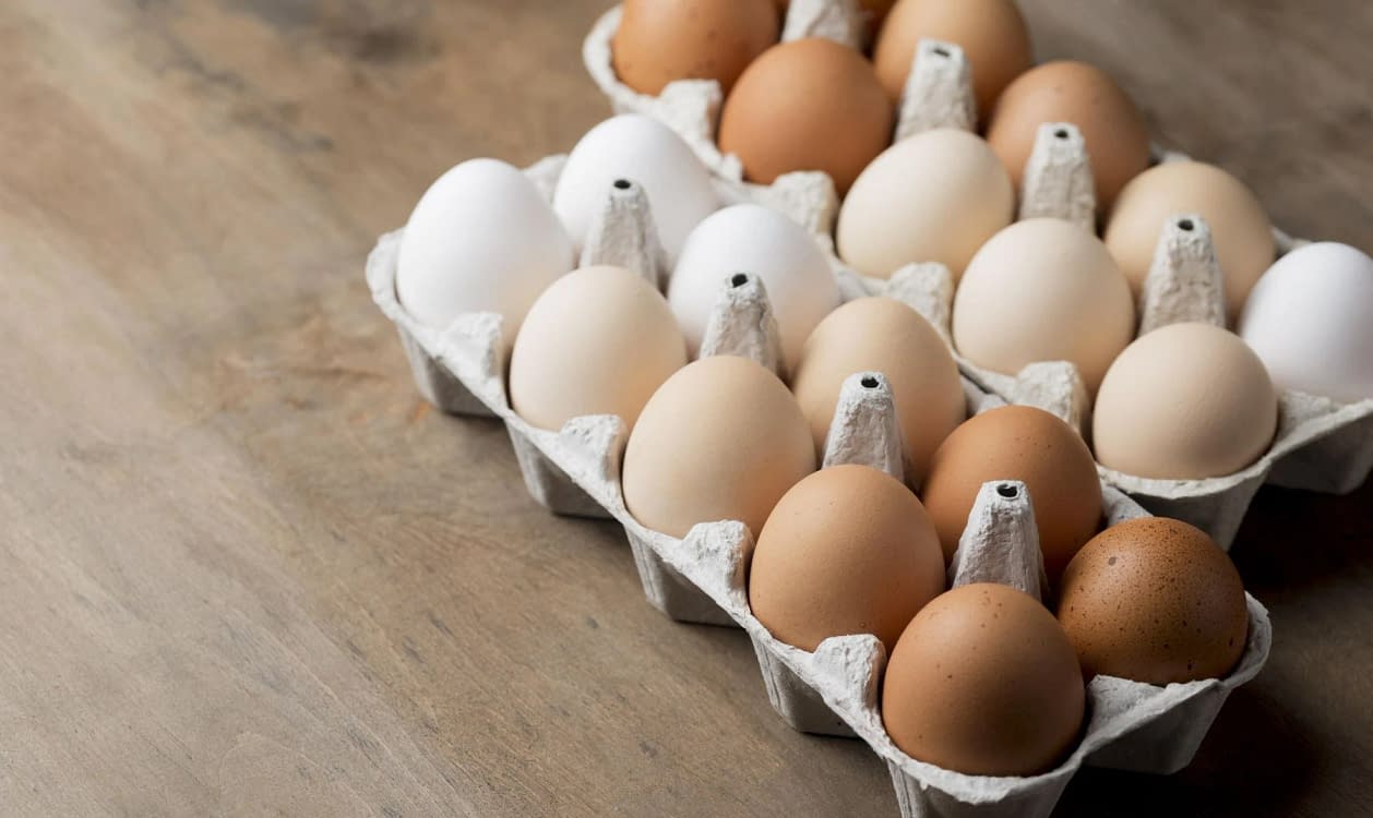 Țări europene își suplinesc producția afectată de gripa aviară. FOTO: Freepik