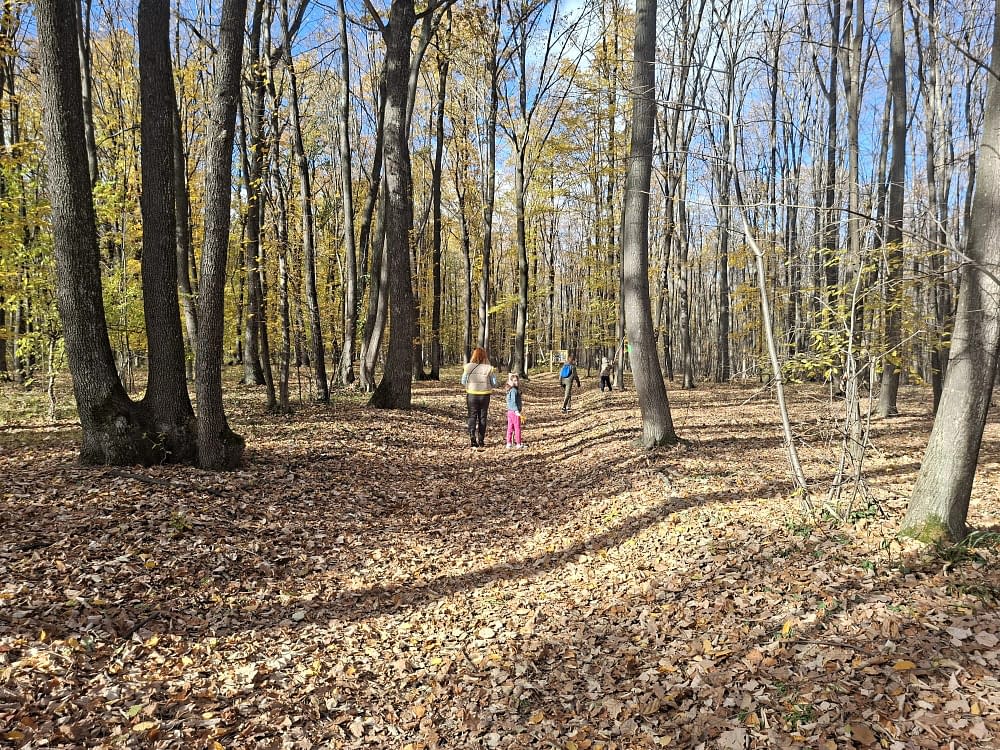 Poteca Teilor un traseu cu efecte terapeutice și rol educațional FOTO Cosmin Zamfirache