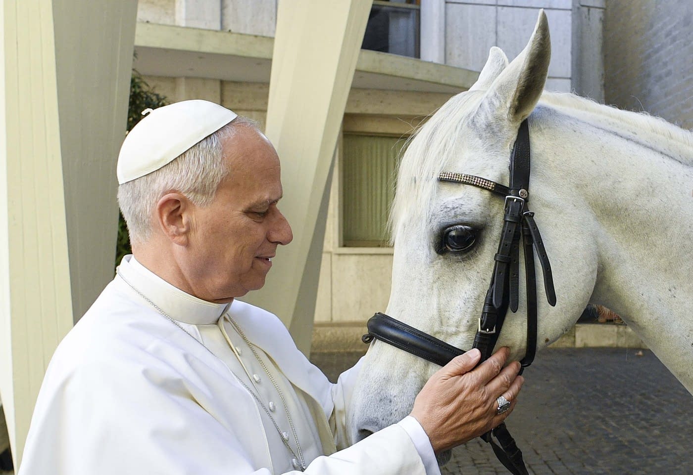 VIDEO Cadoul inedit primit de Papa Leon. „Așa mi-a venit ideea de a-i oferi un frumos pursânge arab” VIDEO Cadoul inedit primit de Papa Leon. „Așa mi-a venit ideea de a-i oferi un frumos pursânge arab”