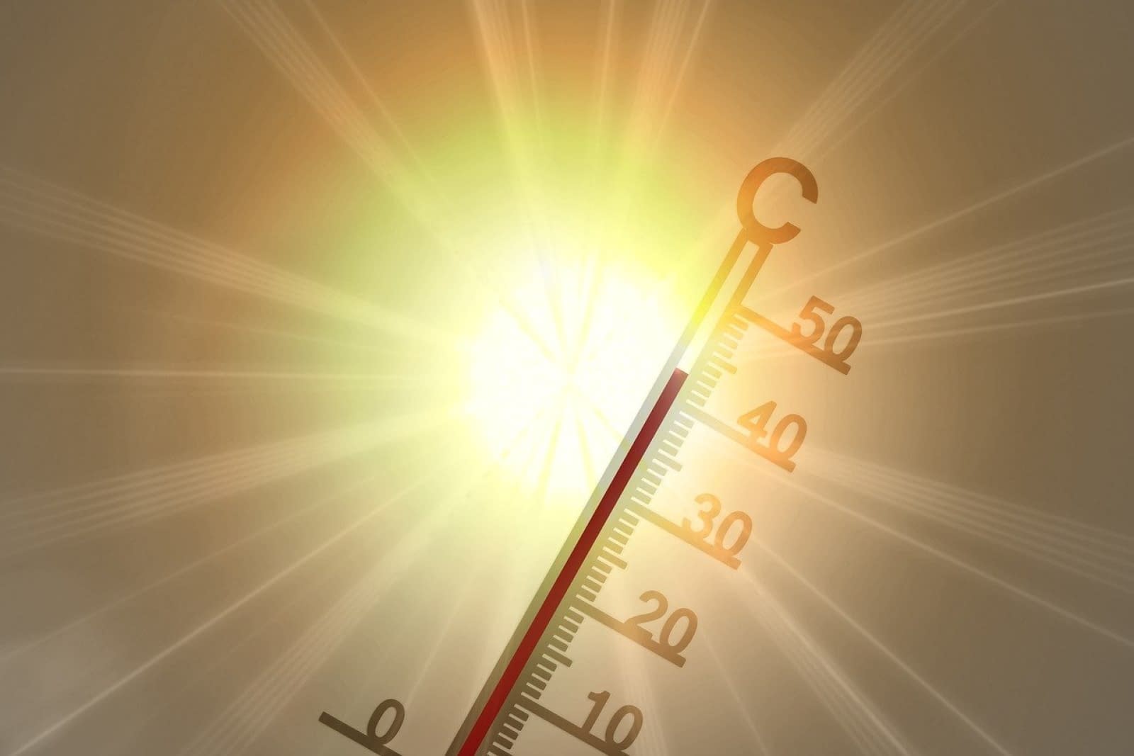Vine canicula, cu temperaturi de până la 35 de grade. Florinela Georgescu, ANM: Nu vor lipsi, însă, nici manifestările de instabilitate atmosferică Vine canicula, cu temperaturi de până la 35 de grade. Florinela Georgescu, ANM: Nu vor lipsi, însă, nici manifestările de instabilitate atmosferică