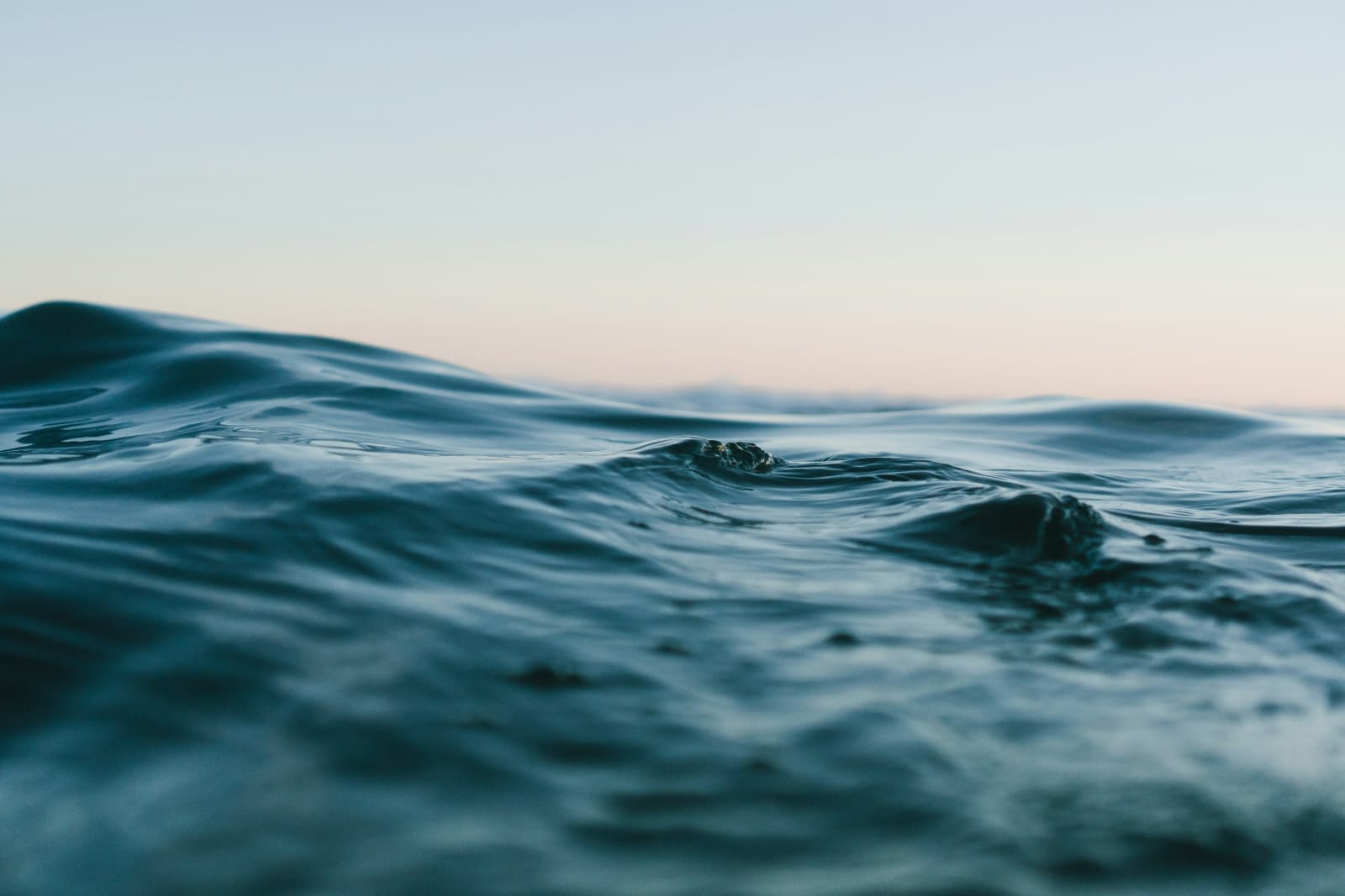 Descoperire în adâncurile Oceanului Pacific: O „oază vibrantă“ de animale devoratoare de substanțe chimice Descoperire în adâncurile Oceanului Pacific: O „oază vibrantă“ de animale devoratoare de substanțe chimice