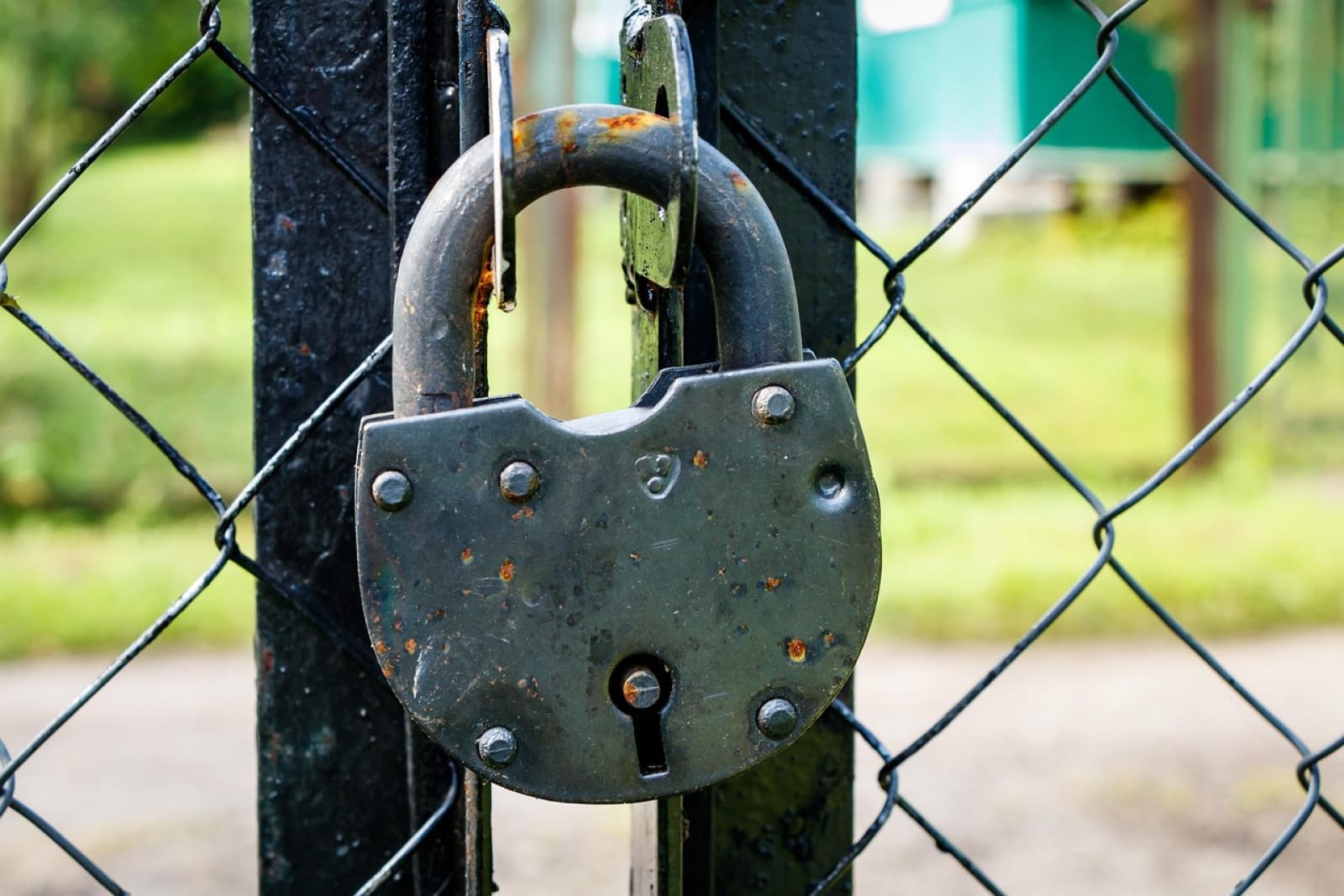 Vești proaste pentru români. Companiile de stat care se vor închide. Sunt o ”gaură neagră” anunță Bolojan Vești proaste pentru români. Companiile de stat care se vor închide. Sunt o ”gaură neagră” anunță Bolojan