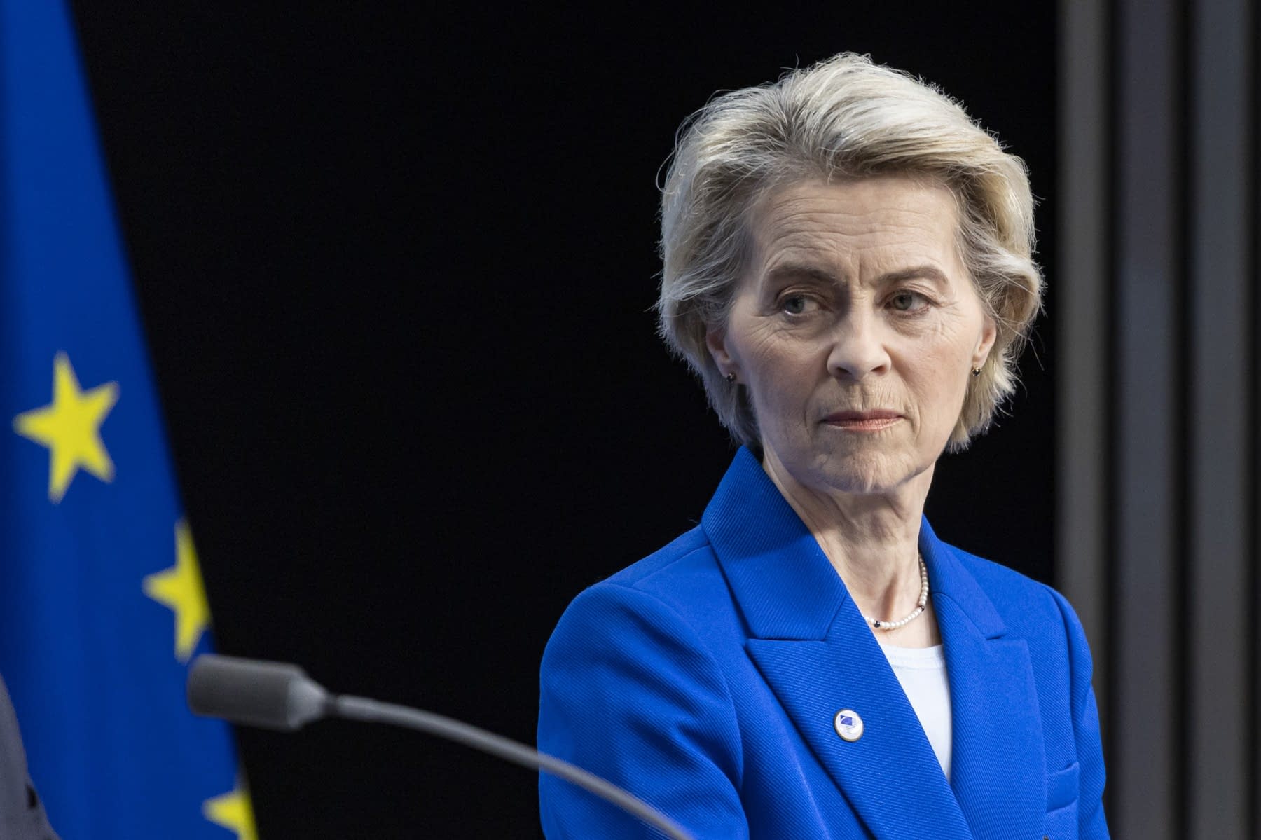 „Ucraina trebuie să fie transformată într-un arici de oţel, complet indigerabil oricărui timp de invadator”, susține șefa Comisiei Europene