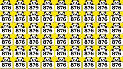 876iluzie optica jpg